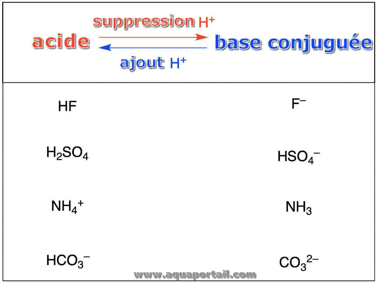 Base conjuguée : définition et explications