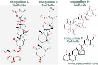 coaguline