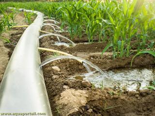 eau d'irrigation