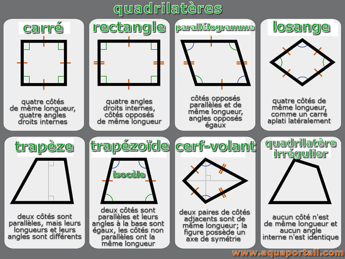 Quadrilateros D couvrir 91 Imagen Aire D un Quadrilat re Formule Quadrilateros D couvrir 91 Imagen Aire D un Quadrilat re Formule
