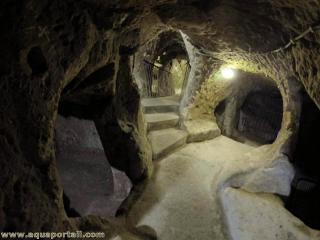 troglodyte