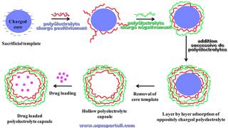 Complexation des polylectrolytes (schma)