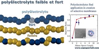 Polylectrolyte fort et faiblet