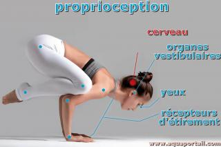 Proprioception, perception de soi-mme