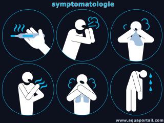 symptomatologie
