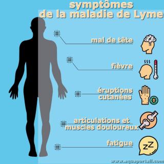 Symptmes de la maladie de Lyme