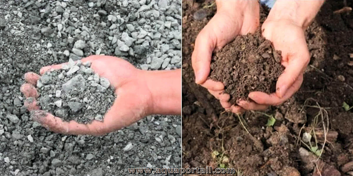 Sol Texture Grossi re D finition Et Explications Sol Texture Grossi re D finition Et Explications