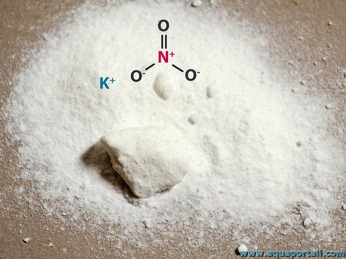 Le nitrate de potassium, une substance connue et utile en cuisine