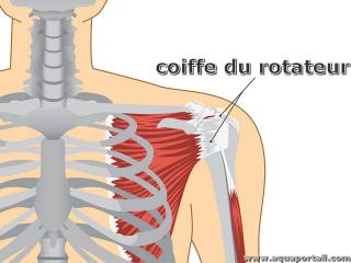 rotateur
