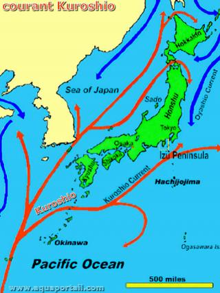 Kuroshio