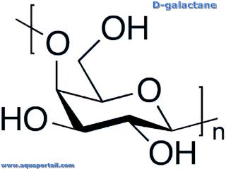galactane
