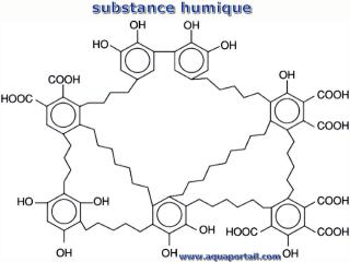 humine