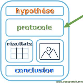 Photo de protocole et ses synonymes. Schéma d'un protocole de recherche