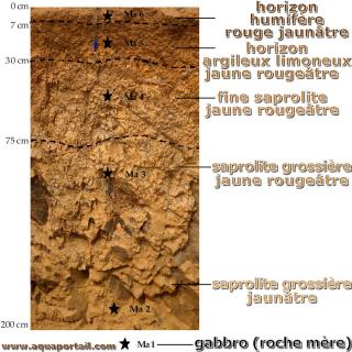 Sol humifre et couches infrieures avec saprolite