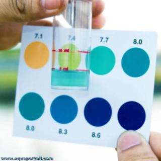 Alcalinit totale dduite par mesure pH