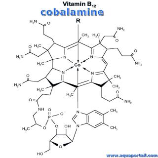 Structure de la cobalamine (vitamine B12)