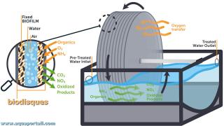 Systme  technologie biodisques (disques biologiques)