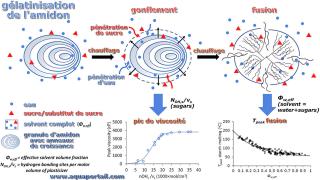 Processus de glatinisation de l'amidon