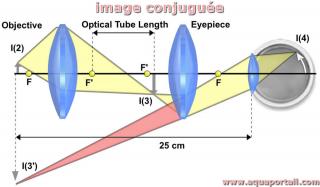 image conjugue