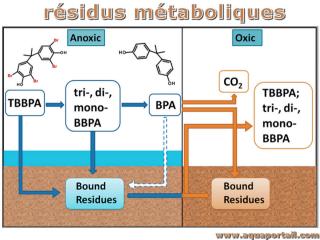 Production de rsidus m&taboliques