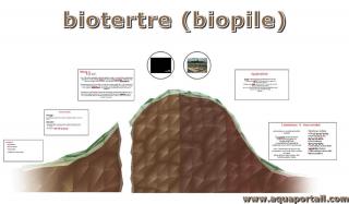 Biotertre d'une biopile