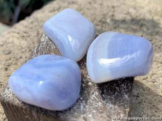 calcdoine