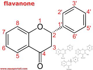 Flavavone : structure (et comparaison avec flavone et flavonol)