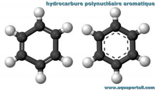 Hydrocarbure polynuclaire aromatique