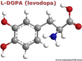 L-DOPA (lvodopa) : structure