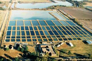 Milieu aquacole (aquaculture extrieure)