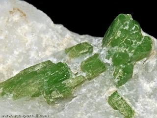 Amphibole : une pargasite