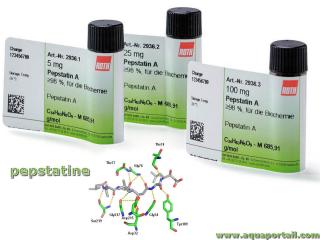 Pepstatine : produits et structure