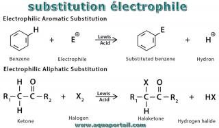 lectrophile