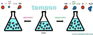 Raction avec un tampon