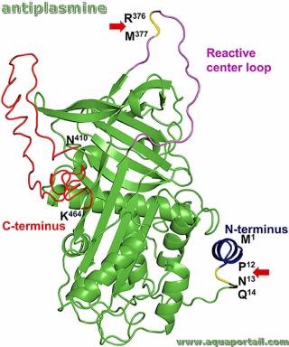 Antiplasmine (structure)