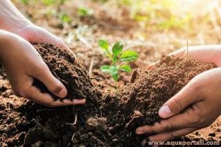 conservation des sols