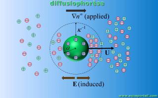 diffusiophorse