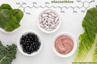 mot en Z : zaxanthine