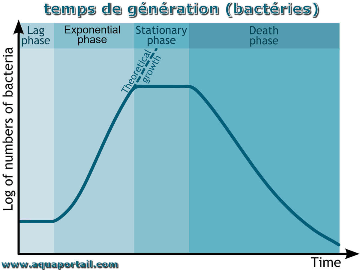 Temps de génération : définition et explications