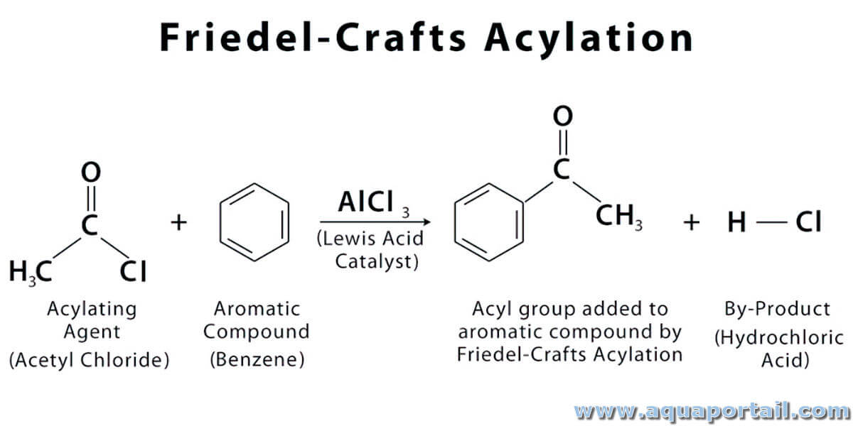 Acylation D finition Illustr e Et Explications