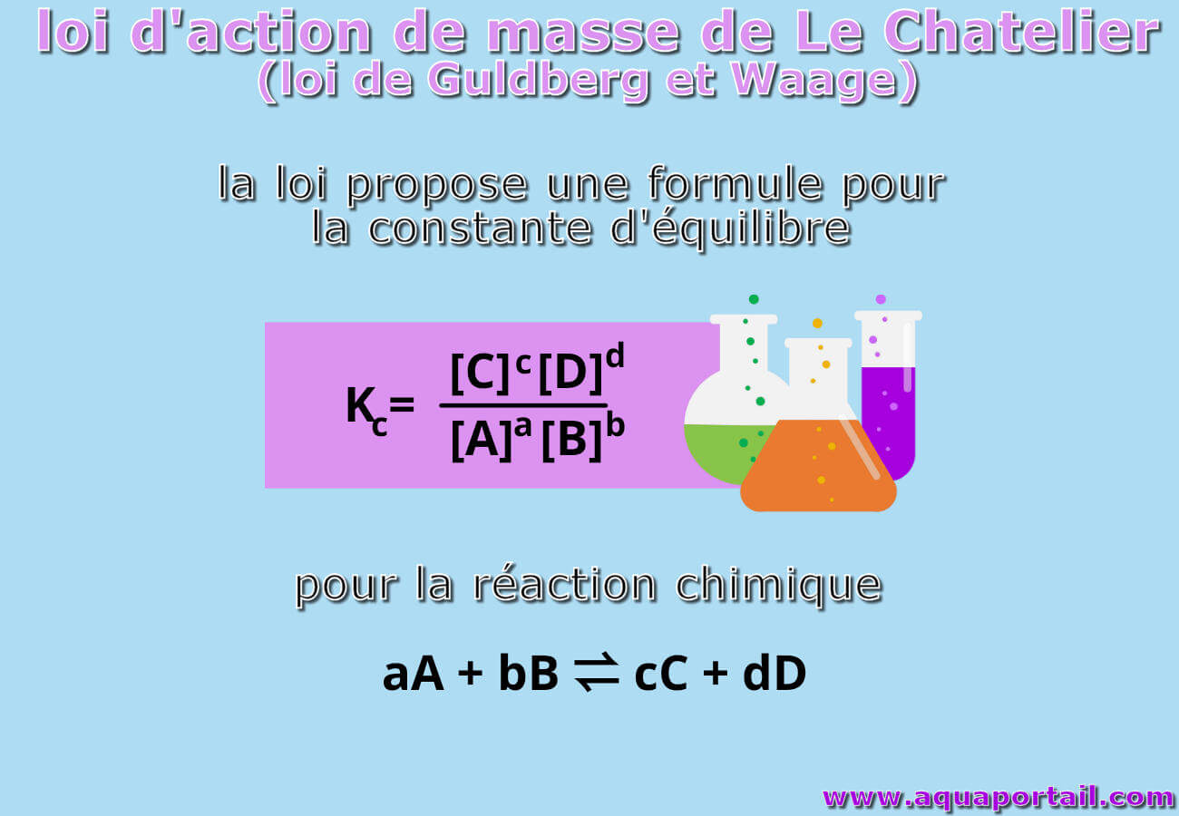 Loi d'action de masse : définition et explications