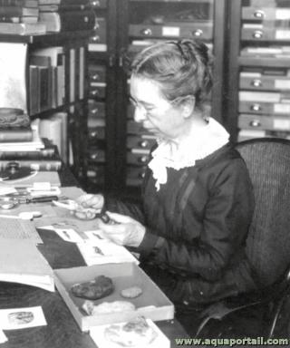 Carcinologue Mary-Jane Rathbun