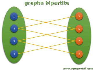 Graphe bipartite
