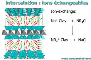 ion changeable