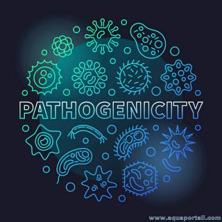 Pathognicit et virulence