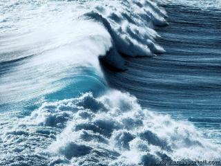 Revif d'une mare montante