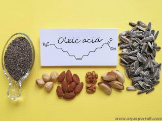 acide olique