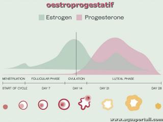 oestroprogestatif