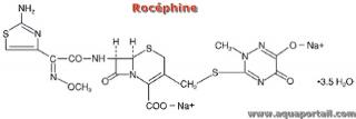 Rocphine (Ceftriaxone) : structure molculaire