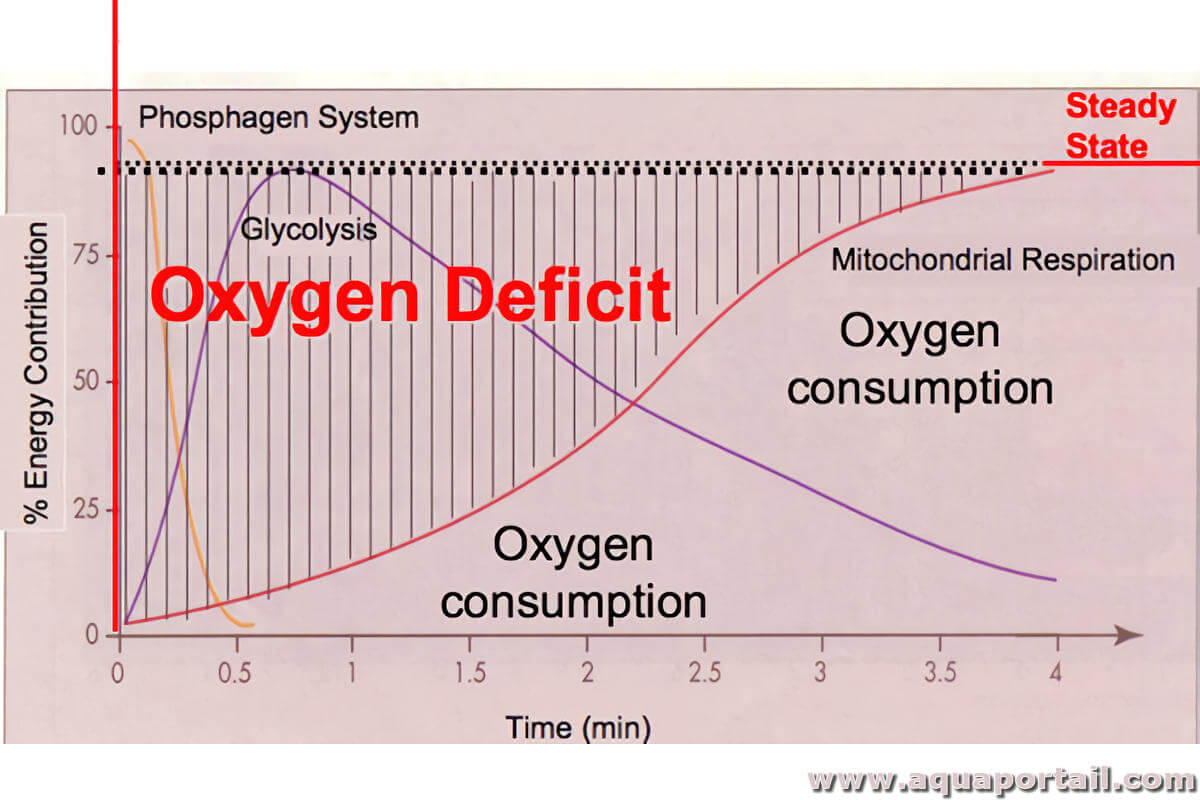 Déficit en oxygène : définition et explications